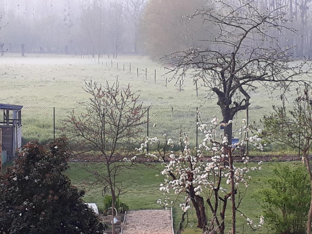 Bedloire Bed and Breakfast Drain Buitenkant foto
